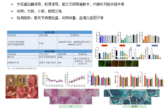 古天乐代言太阳集团(中国)-搜狗百科